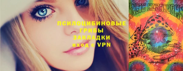 соль ск Заводоуковск