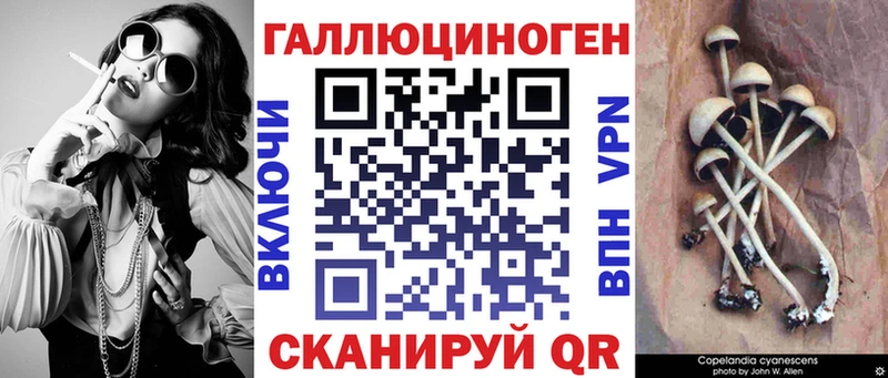 магазин продажи наркотиков  гидра ONION  Галлюциногенные грибы мухоморы  Бердск 